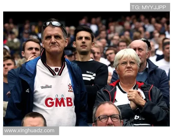 沃特福德与斯旺西实力分析及赛前预测全面对比